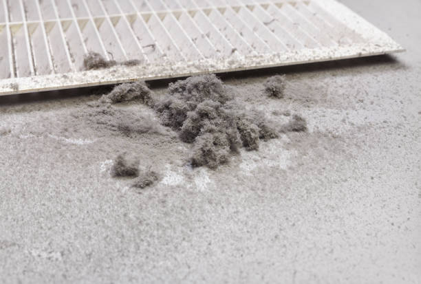Best Commercial Air Duct Cleaning  in Livingston, AL