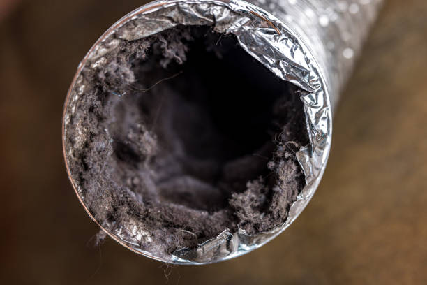 Best Professional Duct Cleaning Services  in Livingston, AL